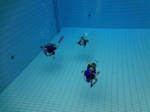 yokokoku diving