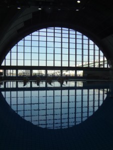 スキンダイビング講習会 -辰巳国際水泳場-