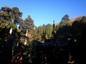 箱根神社20161