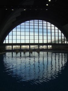【入門編】スキンダイビング講習会 - 辰巳国際水泳場 -
