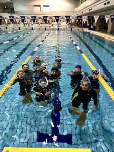 【応用編】スキンダイビング講習会 - 横浜国際プール -