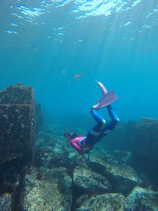 スキンダイビングライセンス取得ツアー