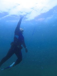 【日帰り】三浦半島・城ヶ島 スノーケリング・スキンダイビング・スクーバダイビングツアー