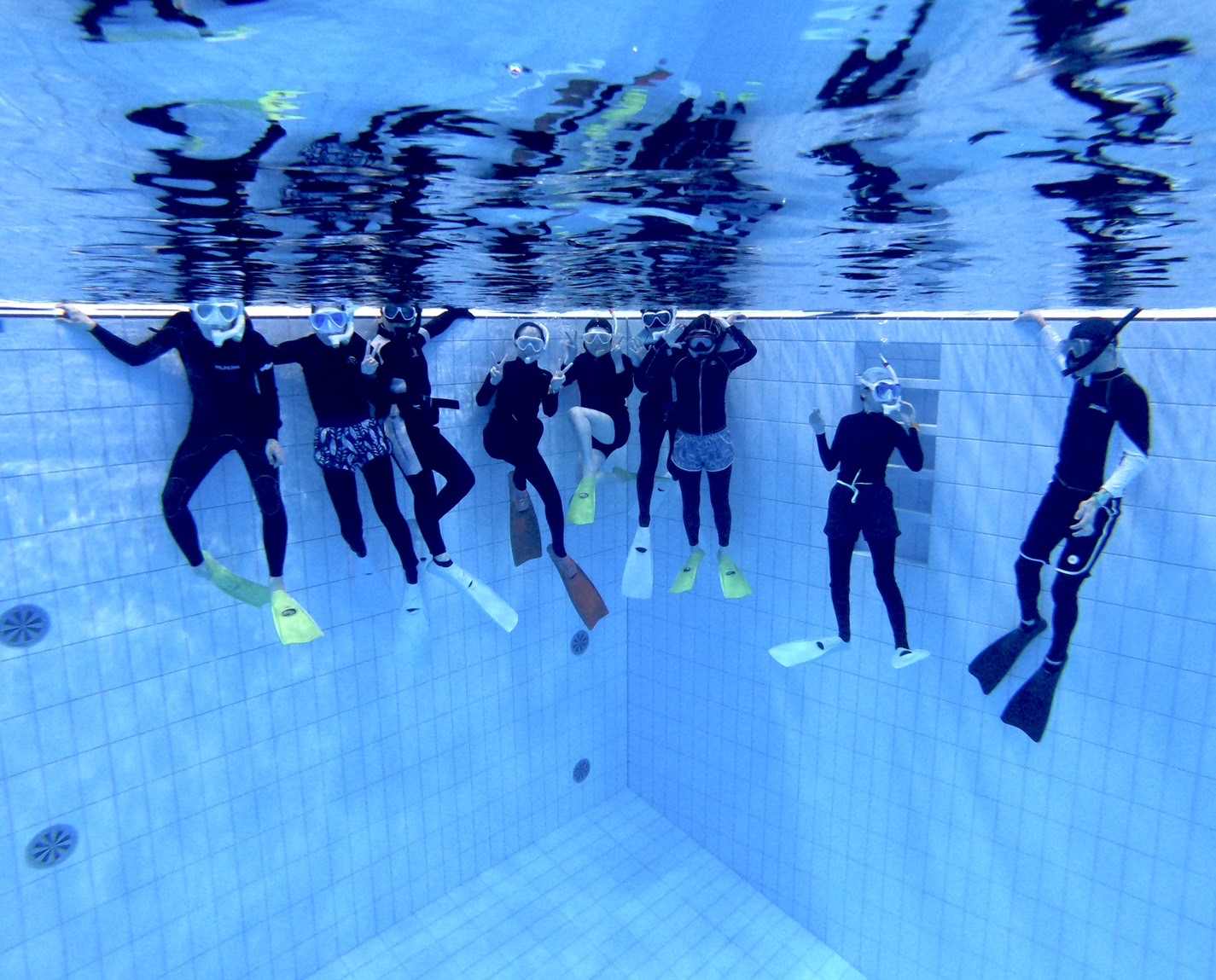 広島・福山・体験ダイビング】初めてでも安心！温水プールで体験ダイビング｜アソビュー！ 探査プールトレーニングのための汎用性の高いダイビングアルミニウムプレート人間工学に基づいたスキューババックプレート