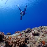 【残りあと３名様】６月開催★空きわずか！琉球で一番美しい“珠美の島”☆沖縄・久米島☆スノーケリング・スキンダイビングツアーのお知らせ！