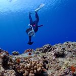 【琉球で一番美しい“珠美の島”】6月開催☆沖縄・久米島 スノーケリング＆スキンダイビングツアーのお知らせ！