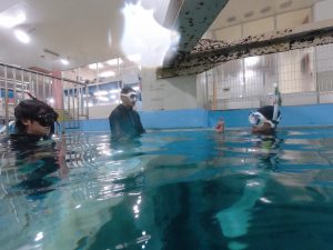 NAUIスキンダイビングレスキュー認定コース（プール） @ ラックシャトー小金井プール