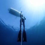 【残り２名】３月開催！NAUIフリーダイバー認定コース（座学・プール）受講者募集のお知らせ！